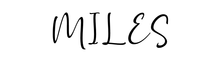 Adinda Melia regular  Free Fonts Download
