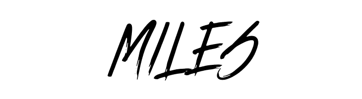 ENDUROS - HANDBRUSH SCRIPT  Free Fonts Download