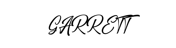 BraylendScriptDEMO  Free Fonts Download