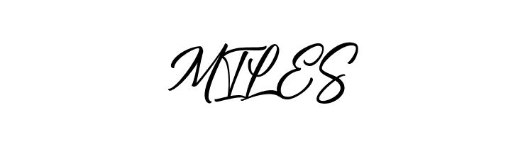 BraylendScriptDEMO  Free Fonts Download