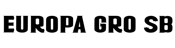 RACTOR  Free Fonts Download