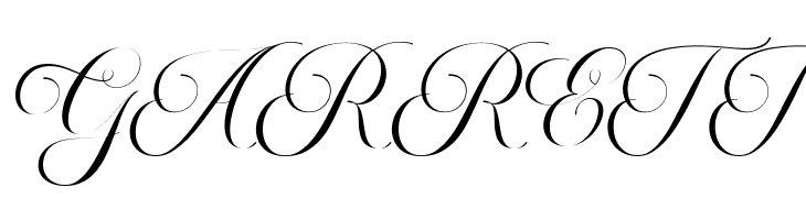 MoritzaScript  Free Fonts Download