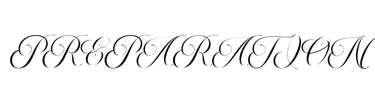 MoritzaScript  Free Fonts Download