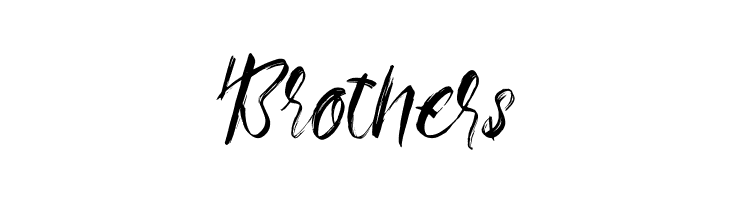 Ottodidact  Free Fonts Download