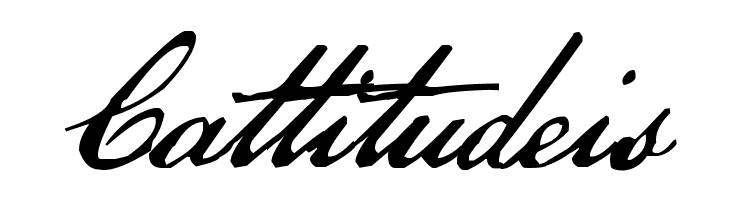 US Declaration  Free Fonts Download