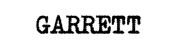 zai Triumph Typewriter bold Bold  Free Fonts Download