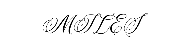 Amertha  Free Fonts Download