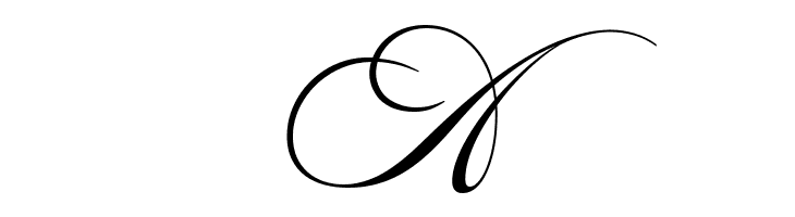 AstonScriptBold-Bold  Free Fonts Download