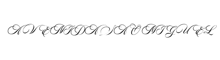 AstonScriptBold-Bold  Free Fonts Download