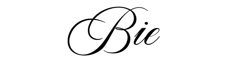 AstonScriptBold-Bold  Free Fonts Download