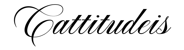 AstonScriptBold-Bold  Free Fonts Download