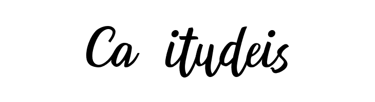 Andaman DEMO Italic  Free Fonts Download