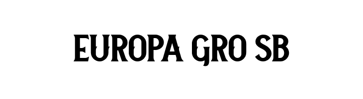 Neue Stanley  Free Fonts Download