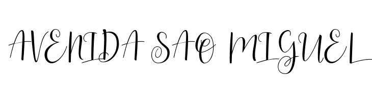 Berlina Script  Personal Use Rg  Free Fonts Download