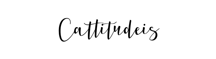 Berlina Script  Personal Use Rg  Free Fonts Download