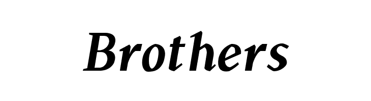 TS-Chapinero Serif Medium Italic  Free Fonts Download