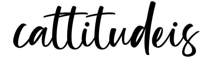 Blindsay  Free Fonts Download