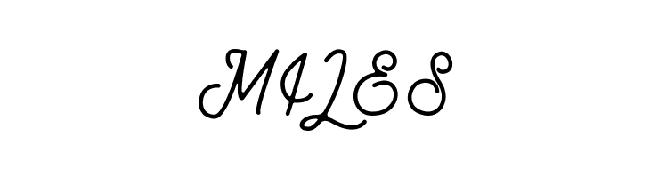 Brothen Script  Free Fonts Download