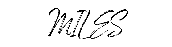 Den Basuky  Free Fonts Download