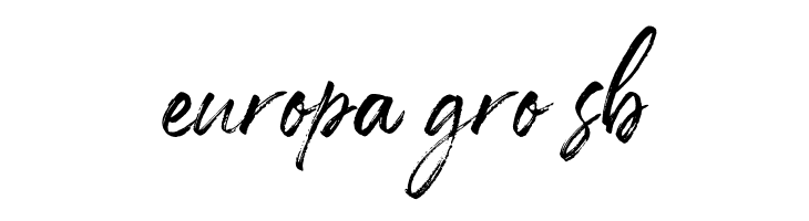 Den Basuky  Free Fonts Download