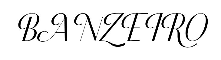 Classy Brune Italic Free Regular  Free Fonts Download