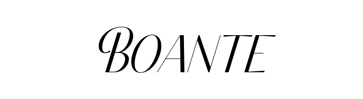 Classy Brune Italic Free Regular  Free Fonts Download