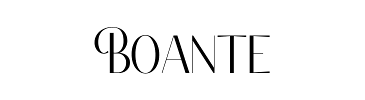 Classy Brune Reg Free Regular  Free Fonts Download