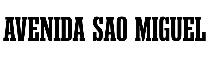 GravtracCdRg-Bold  Free Fonts Download