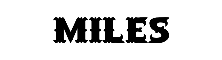 SaloonExt Th  Free Fonts Download