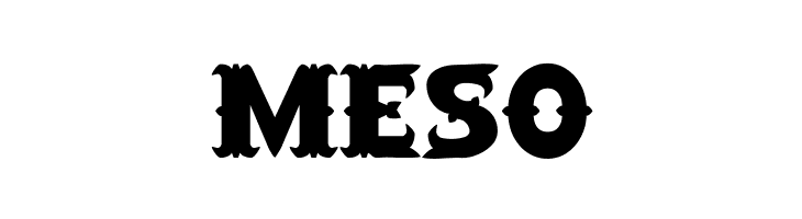 SaloonExt Th  Free Fonts Download