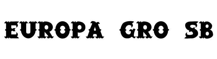 SaloonExt Th  Free Fonts Download