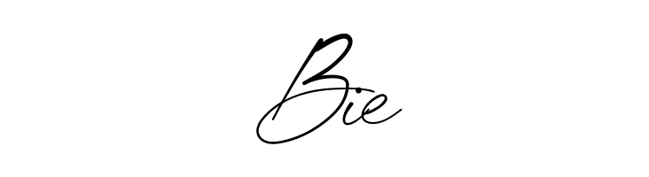 Chic Budapest  Free Fonts Download