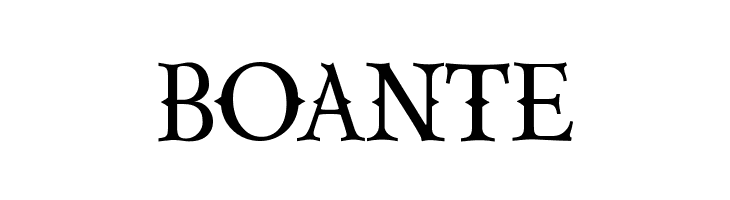 CAPORION  Free Fonts Download