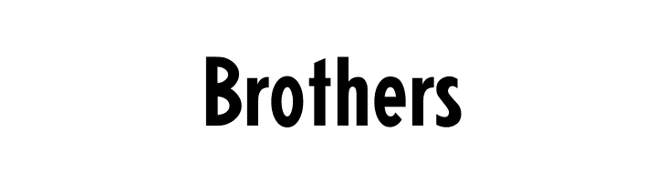 Neu5Land Bold  Free Fonts Download