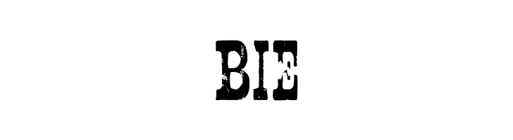 Nashville  Free Fonts Download