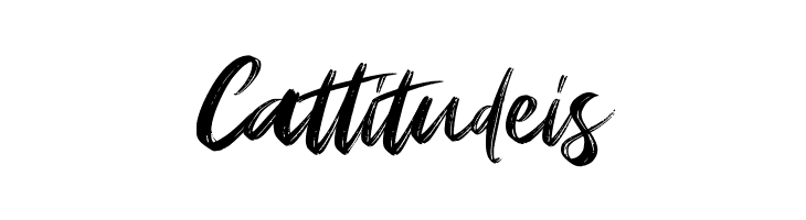 Amstagram  Free Fonts Download