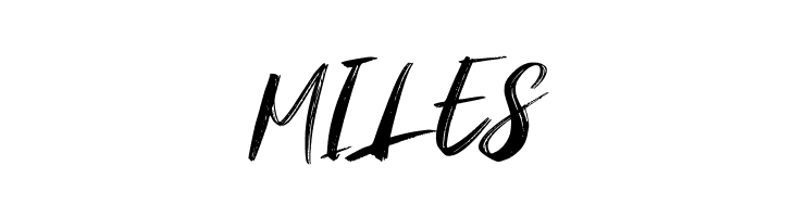 Amstagram  Free Fonts Download