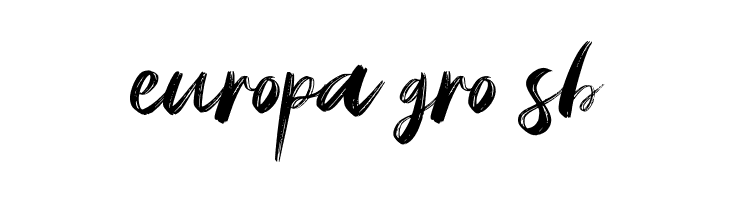 Amstagram  Free Fonts Download