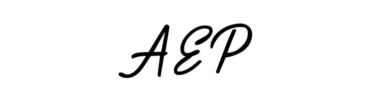 Playmaker-Script  Free Fonts Download