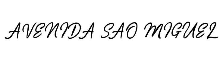 Playmaker-Script  Free Fonts Download