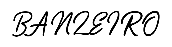 Playmaker-Script  Free Fonts Download