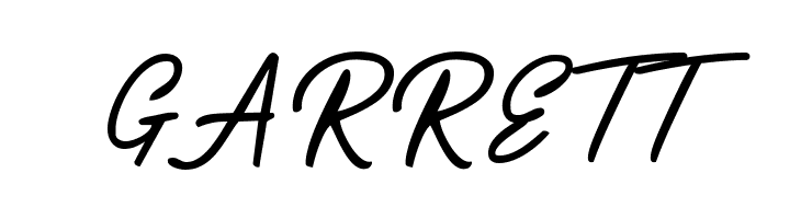 Playmaker-Script  Free Fonts Download