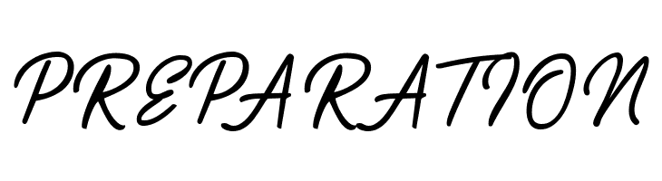 Playmaker-Script  Free Fonts Download