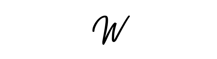 Playmaker-Script  Free Fonts Download