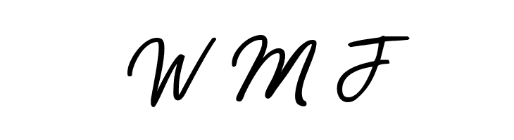 Playmaker-Script  Free Fonts Download