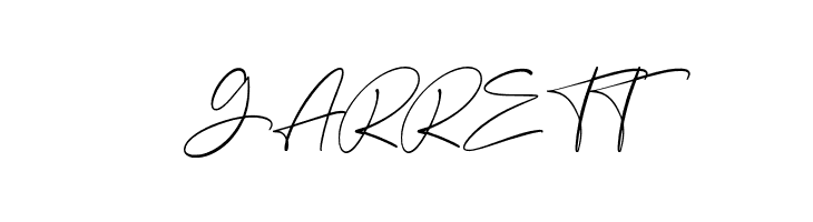 Anamortee  Free Fonts Download