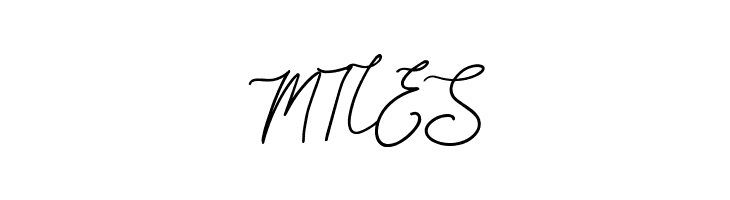 Acelire Rosse  Free Fonts Download