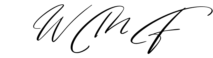 MagicStick FREE  Free Fonts Download