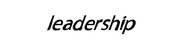 TNEWPRO NormalItalic  Free Fonts Download