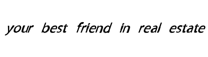 TNEWPRO NormalItalic  Free Fonts Download